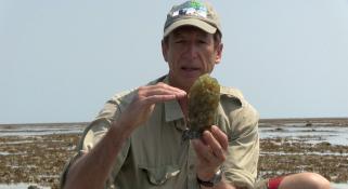 Clay Bryce holding Baler Shell eggs sack